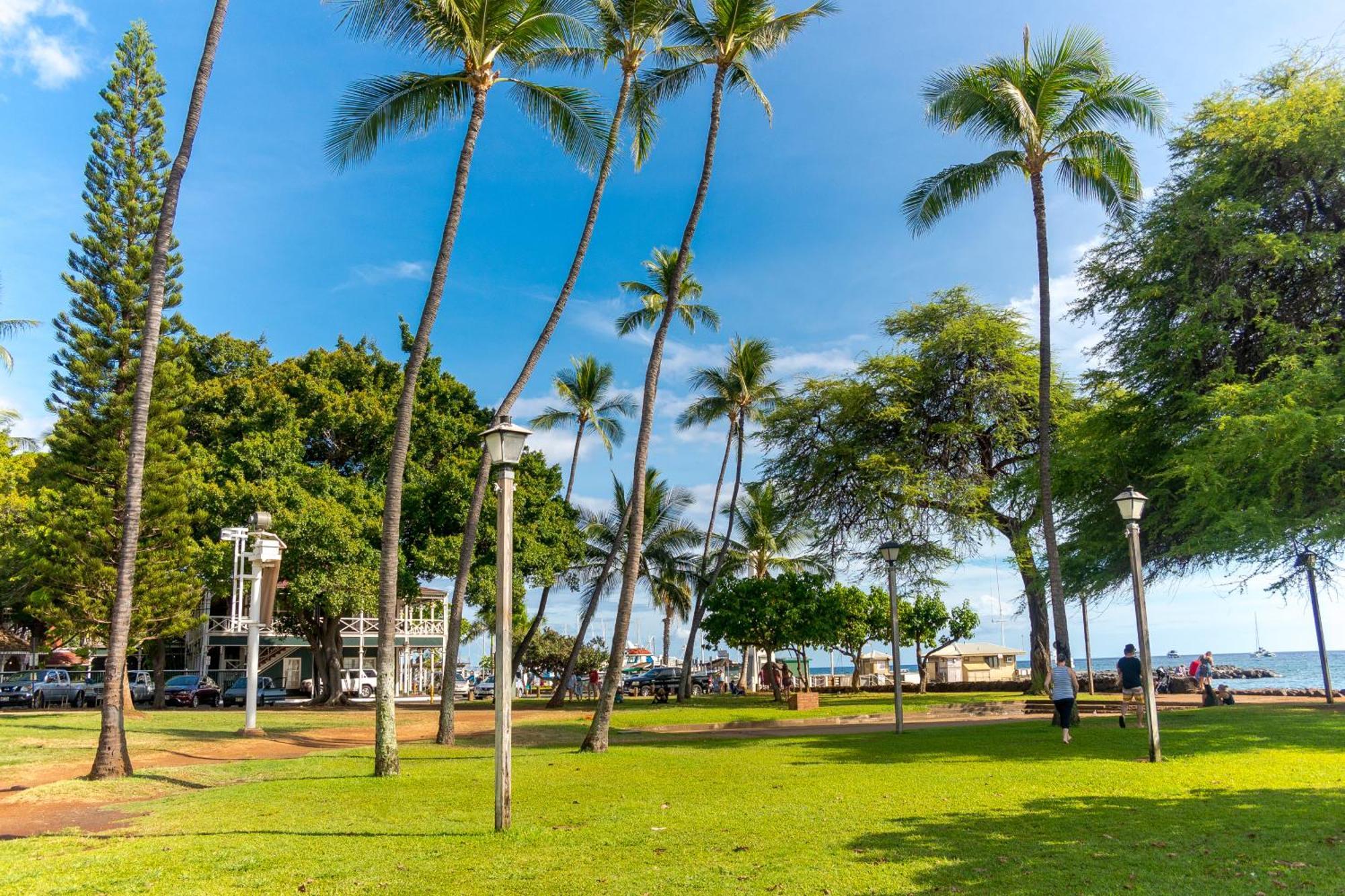 Paki Maui 222 Apartment Napili-Honokowai Phòng bức ảnh
